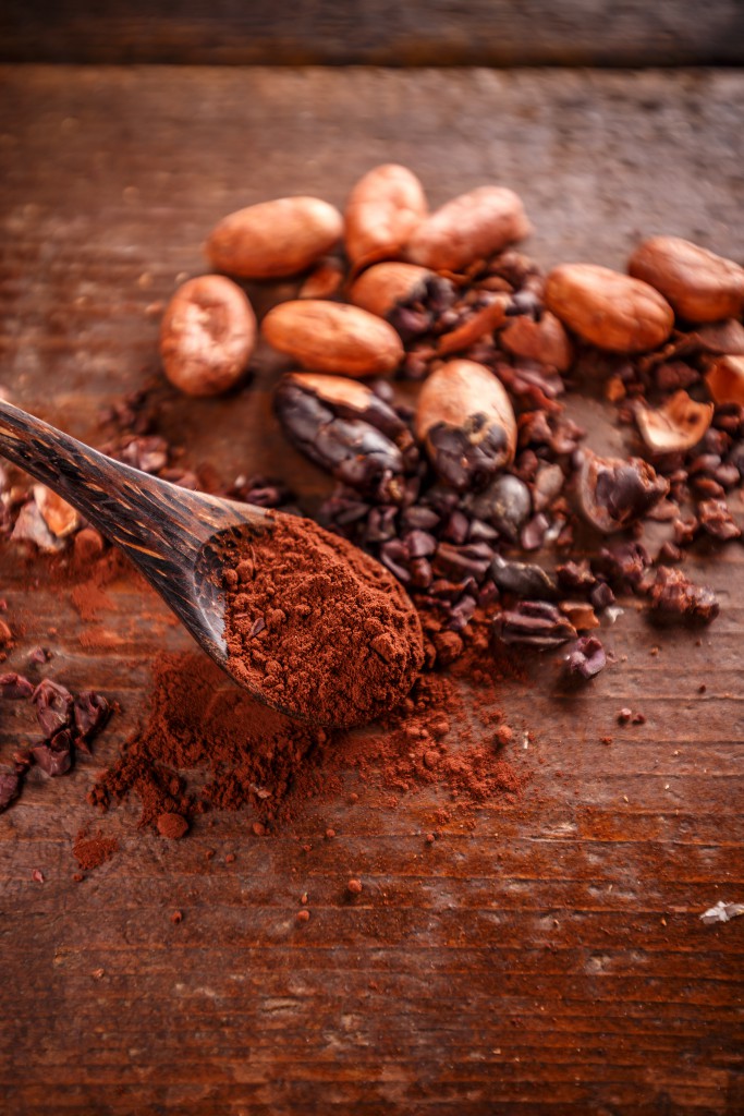 Cocoa Beans for Chocolate Making Experience