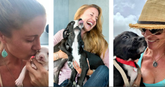 Spay & Neuter Pop-up Clinics USVI