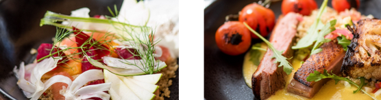 Chef-Prepared Meals and Sundowners