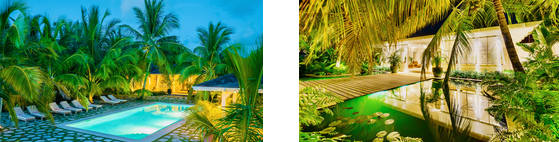 Enchanting Features at Luxury Bahamas Estate